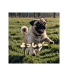 パグは感情表現豊か（個別スタンプ：7）