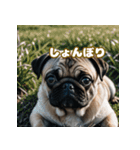 パグは感情表現豊か（個別スタンプ：19）