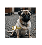 パグは感情表現豊か（個別スタンプ：28）