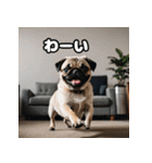 パグは感情表現豊か（個別スタンプ：30）