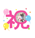 あらかると N.max（個別スタンプ：2）