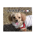 あらかると N.max（個別スタンプ：7）