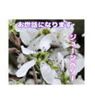 日常のご挨拶に 早春の山野草を添えて（個別スタンプ：10）