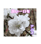 日常のご挨拶に 早春の山野草を添えて（個別スタンプ：15）