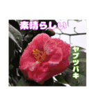 日常のご挨拶に 早春の山野草を添えて（個別スタンプ：29）