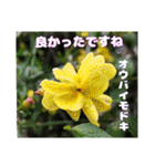 日常のご挨拶に 早春の山野草を添えて（個別スタンプ：30）