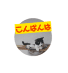 20250410a（個別スタンプ：1）