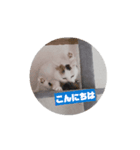 20250410a（個別スタンプ：2）