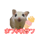 ウムくんスタンプ（個別スタンプ：1）