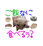 ウムくんスタンプ（個別スタンプ：4）