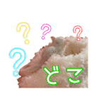 ウムくんスタンプ（個別スタンプ：5）