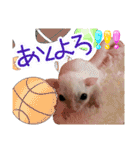 ウムくんスタンプ（個別スタンプ：8）