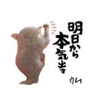 ウムくんスタンプ（個別スタンプ：11）