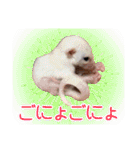 ウムくんスタンプ（個別スタンプ：15）