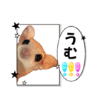 ウムくんスタンプ（個別スタンプ：16）