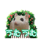 ウムくんスタンプ（個別スタンプ：17）