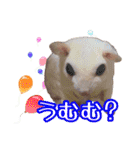 ウムくんスタンプ（個別スタンプ：18）