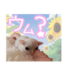 ウムくんスタンプ（個別スタンプ：20）