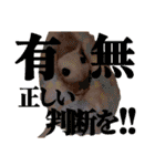 ウムくんスタンプ（個別スタンプ：23）