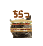こふくちゃん オニャンコラージュver.1.1（個別スタンプ：2）