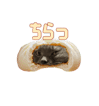 こふくちゃん オニャンコラージュver.1.1（個別スタンプ：8）