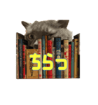 こふくちゃん オニャンコラージュver.1.1（個別スタンプ：12）