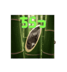 こふくちゃん オニャンコラージュver.1.1（個別スタンプ：19）
