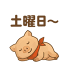 キュートなブタさん ローポリ2(曜日)（個別スタンプ：6）