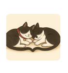 ハチワレにゃんずの日常（個別スタンプ：8）