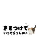 敬語で伝える♡ネコ（横長）（個別スタンプ：3）