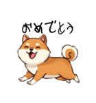 日常会話とあいさつ【柴犬②】（個別スタンプ：2）