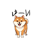 日常会話とあいさつ【柴犬②】（個別スタンプ：4）