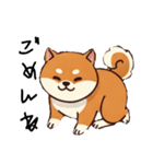 日常会話とあいさつ【柴犬②】（個別スタンプ：7）