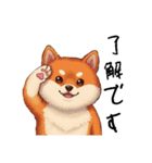日常会話とあいさつ【柴犬②】（個別スタンプ：9）