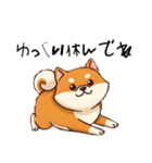 日常会話とあいさつ【柴犬②】（個別スタンプ：12）