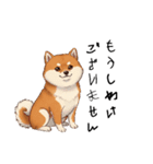 日常会話とあいさつ【柴犬②】（個別スタンプ：14）