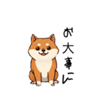 日常会話とあいさつ【柴犬②】（個別スタンプ：18）