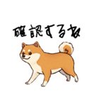 日常会話とあいさつ【柴犬②】（個別スタンプ：19）