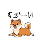 日常会話とあいさつ【柴犬②】（個別スタンプ：20）