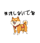 日常会話とあいさつ【柴犬②】（個別スタンプ：27）