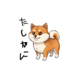 日常会話とあいさつ【柴犬②】（個別スタンプ：29）
