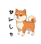 日常会話とあいさつ【柴犬②】（個別スタンプ：30）