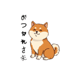 日常会話とあいさつ【柴犬②】（個別スタンプ：31）