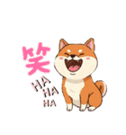 日常会話とあいさつ【柴犬②】（個別スタンプ：32）