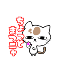 ブサカワ猫の一言（個別スタンプ：1）