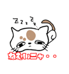 ブサカワ猫の一言（個別スタンプ：14）