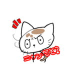 ブサカワ猫の一言（個別スタンプ：16）
