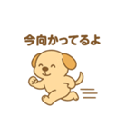 ねんねワンコ2（個別スタンプ：8）