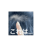 ヘチマども（個別スタンプ：4）