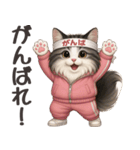 ノルウェジャンのカジュアル会話（個別スタンプ：37）